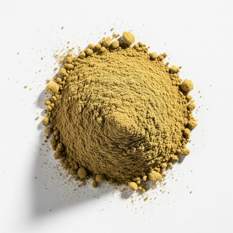 BIO Hanfprotein 50% - 400g