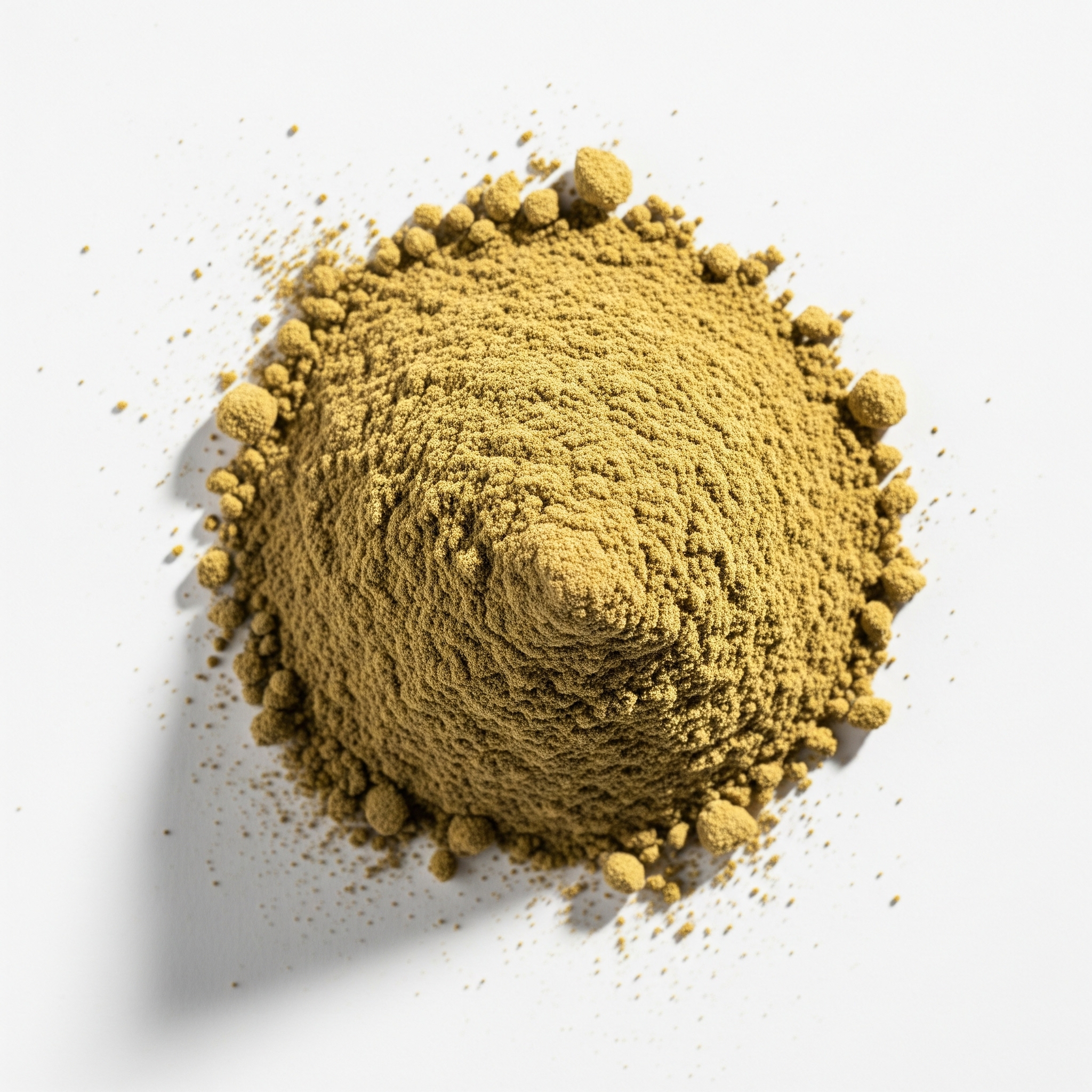 BIO Hanfprotein 50% - 400g